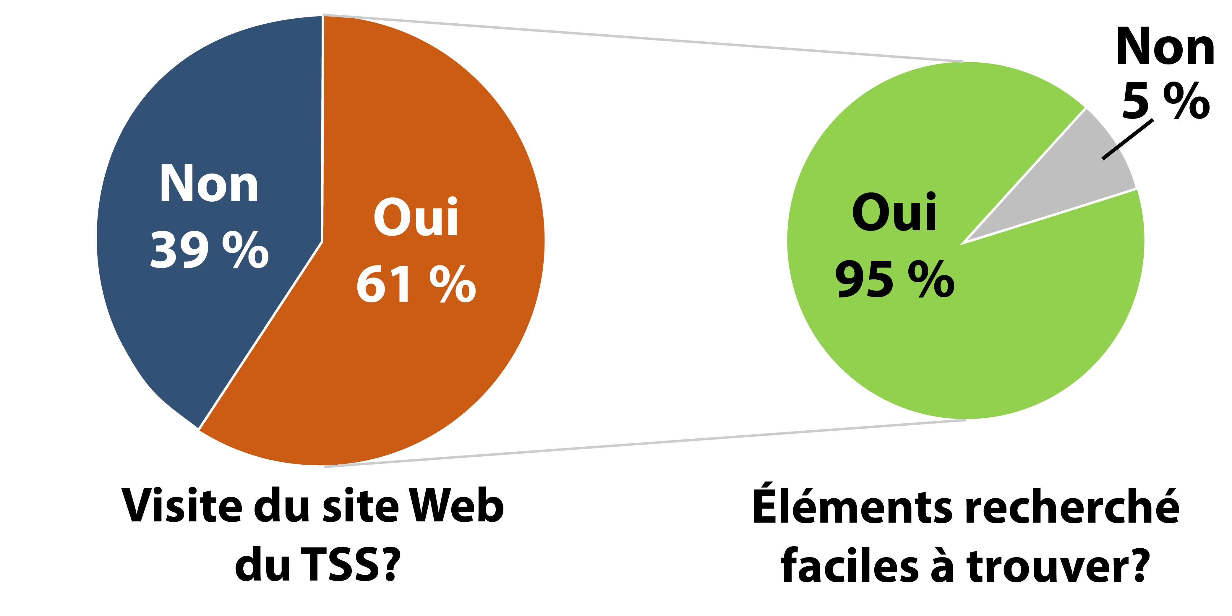 graphique à secteurs des visites au site web du Tribunal