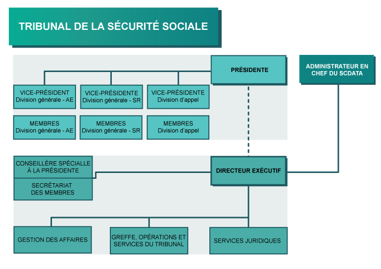 structure organisationnelle du Tribunal de la sécurité sociale