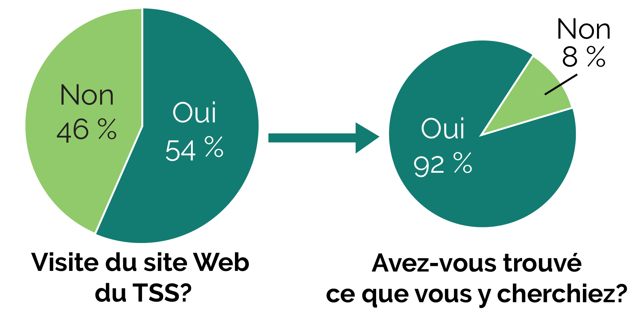 Diagramme circulaire des visites du site Web du Tribunal